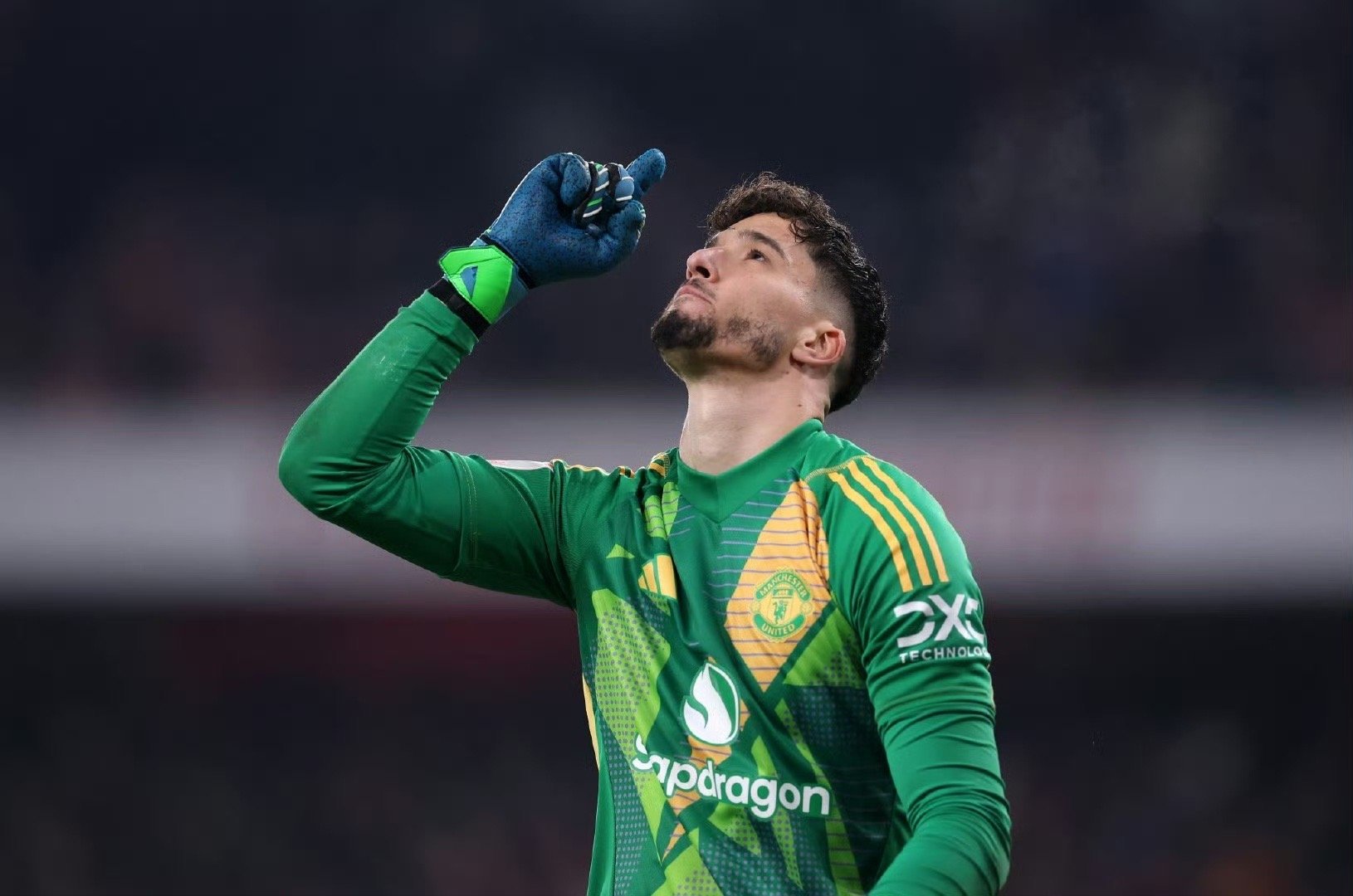 Leyu-爱尔兰队实力不凡，坦然面对一切挑战